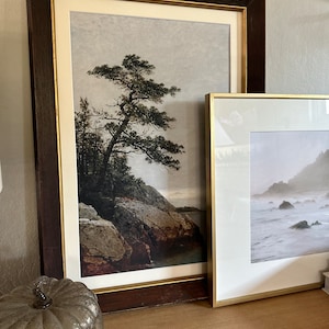 Nicole added a photo of their purchase