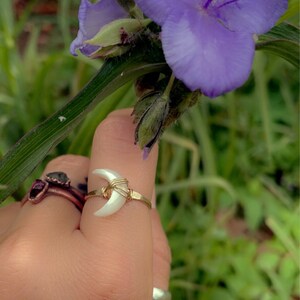 Charlotte hat ein Foto des gekauften Artikels hinzugefügt