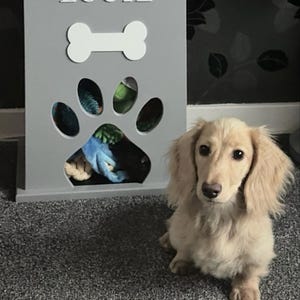 Steven added a photo of their purchase