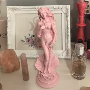 Kim added a photo of their purchase