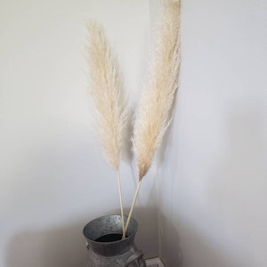 Diana added a photo of their purchase