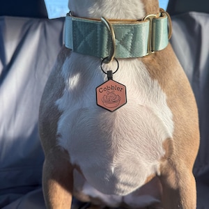 Casey added a photo of their purchase