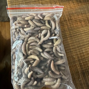 Gregory added a photo of their purchase