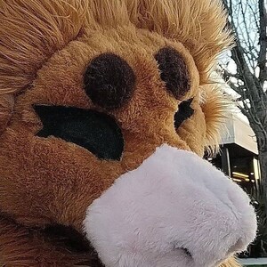 Katie added a photo of their purchase