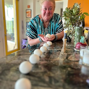 Beth adicionaram uma foto da sua compra