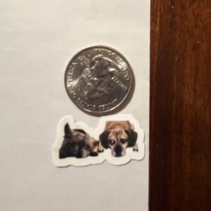 Tara added a photo of their purchase