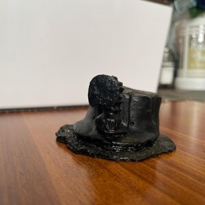 Heirloom Roma II OP Bush Bean Seeds Non GMO Stringless Italian Bean - Etsy