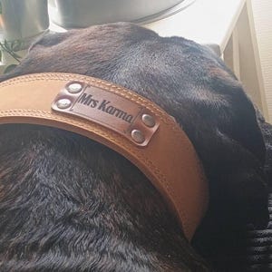 Ed added a photo of their purchase