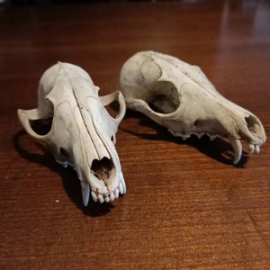 Gloria added a photo of their purchase