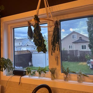 Deandra added a photo of their purchase