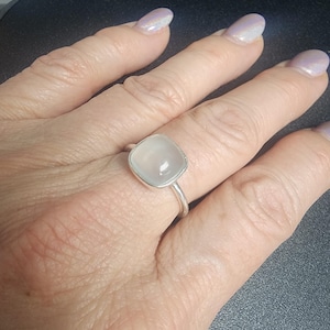 Paula added a photo of their purchase