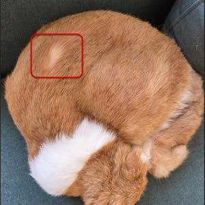 Michael hat ein Foto des gekauften Artikels hinzugefügt