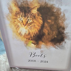 Bill added a photo of their purchase
