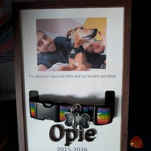Dij added a photo of their purchase