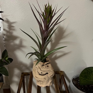 Shawn added a photo of their purchase