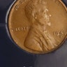 Reviewer's image