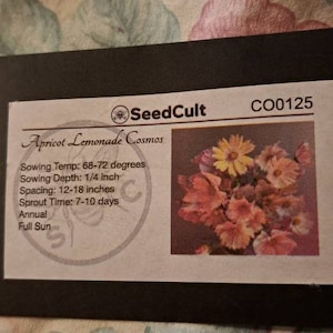 Pam added a photo of their purchase