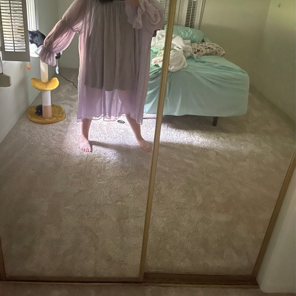 Moonlit Serenade See-Through Dress