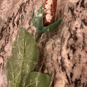 Bertha added a photo of their purchase