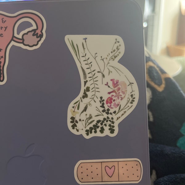 Pregnancy Art Sticker, Midwife Gifts, Obgyn Gifts, Pressed Flower Art ...
