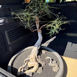 Amy added a photo of their purchase