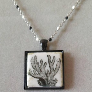 Susan added a photo of their purchase