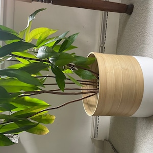 Plant Pots for Indoor Plants - Large (10"), Medium (8") or Small (6") Boho Plant Pots, Modern Planters.  Perfect Plant Mom Gift.