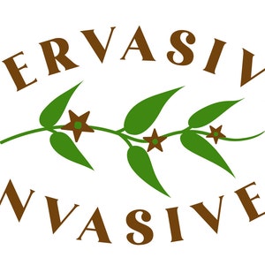 Amanda added a photo of their purchase