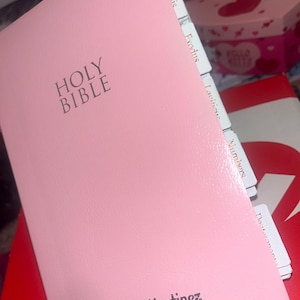 Personalized Pink Faux Leather NIV Bible, Small Print New International Bible Custom Silver Foil Imprint Cover, Thin Bible Confirmation Gift