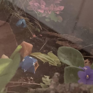 Jennifer ha añadido una foto de su compra