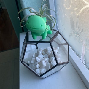 lilctx added a photo of their purchase