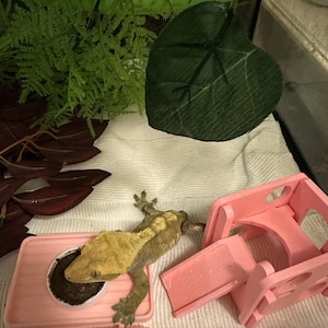 erica added a photo of their purchase