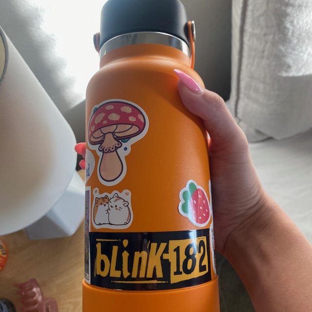 Redbubble Orange Hydro Flask Stickers Blink 182 Laptop Stickers
