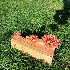 Mme added a photo of their purchase