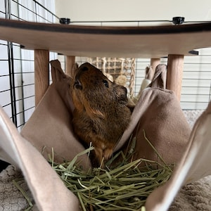 Josie added a photo of their purchase