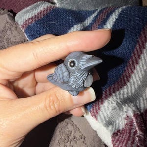 Lily added a photo of their purchase