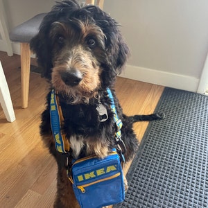 Casey a ajouté une photo de son achat