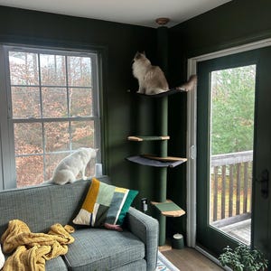 EG added a photo of their purchase