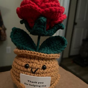 Cute 3PCS Plants,Thank You For Helping Me Grow,Crochet Sunflowers/Hearts/Rose Plants,Emotional Support Crochet,Thank You Gift,Teacher Gift