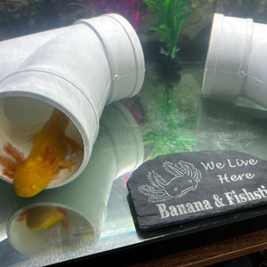 Anna added a photo of their purchase