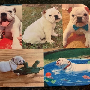 RM added a photo of their purchase