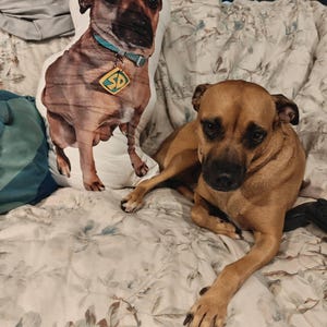 Erin added a photo of their purchase