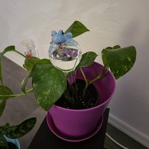 Connie added a photo of their purchase