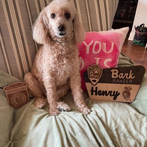 Priscilla added a photo of their purchase