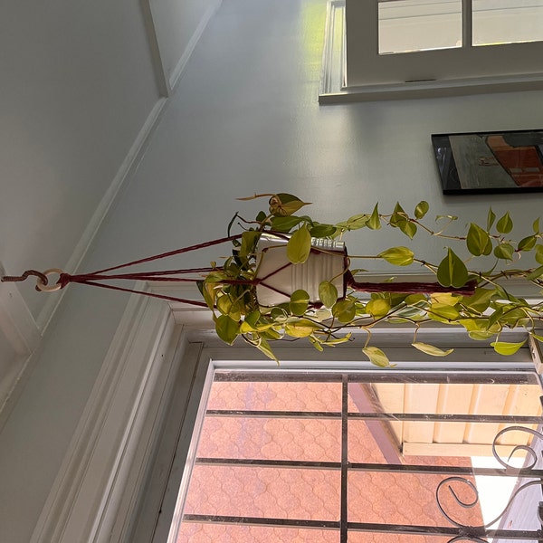 Photo inspiration: Simple And Minimalist Hanging Planters Reference: Macrame Plant Hanger Hanging Planter Simple Minimalist Plant Hanger