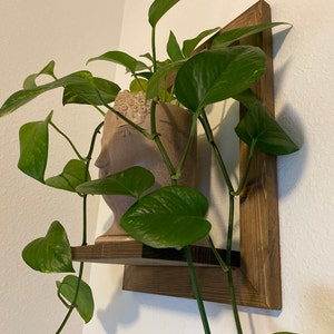 Lijia added a photo of their purchase