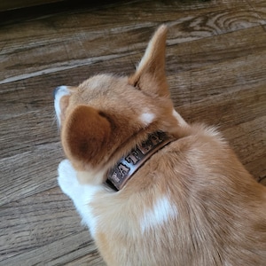 Trish added a photo of their purchase