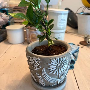 denise added a photo of their purchase