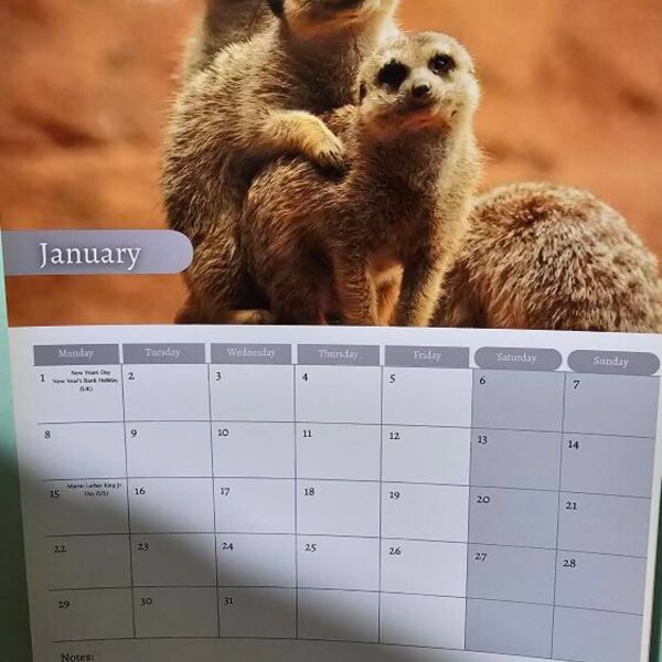 Caterpillar Calendar 2025 Monthly Wall Calendar With Notes, Hanging A4