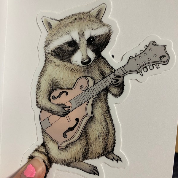 Bluegrass Vinyl Sticker - Raccoon Bumper Sticker - Waterproof Water ...